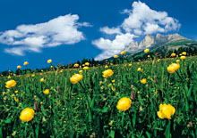 Herbstwochen in Südtirol