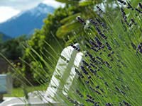 Welcome to Hotel Schönbrunn in Merano