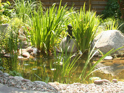 Naturidylle und Teich mit gepflegter Außenanlage