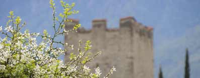 Pension Schönbrunn, Pensione Schönbrunn, Meran, Merano, Südtirol, Alto Adige, South Tyrol