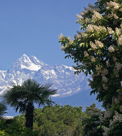 Hotel Schönbrunn, Meran, Merano, Südtirol, Alto Adige, South Tyrol